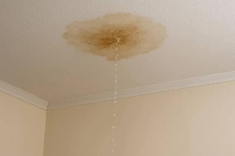 Ceiling water leak detection in San Diego