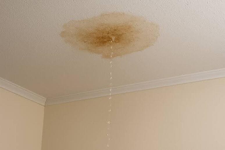 Ceiling water leak detection in Oceanside